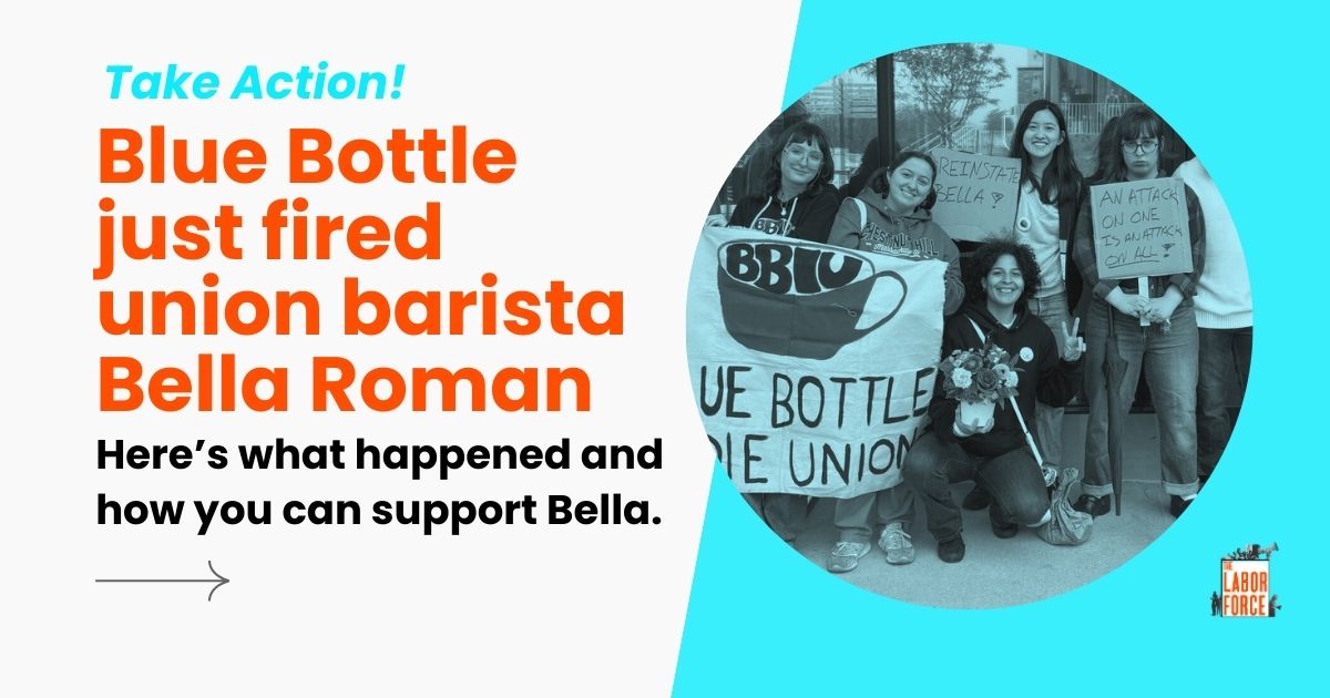 blue bottle fired barista Bella boston